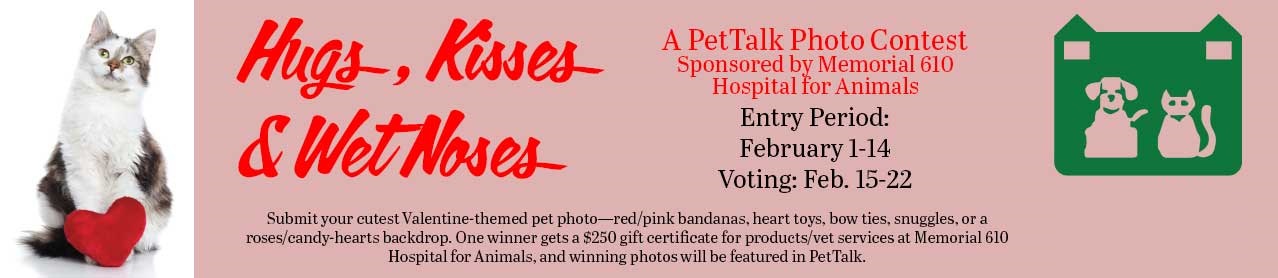 Valentine's Contest Banner Valentine's Contest Banner