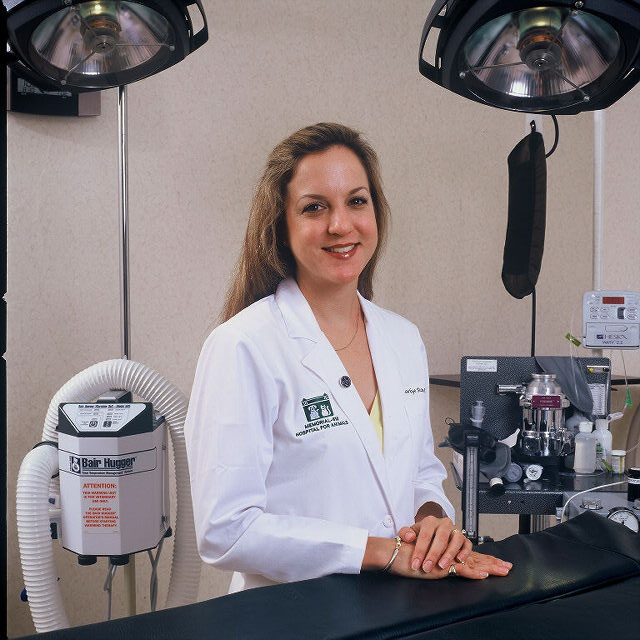 Dr. Carlye Rose DVM DABVP Board Certified in Canine and Feline Practice Dr. Carlye Rose DVM DABVP Board Certified in Canine and Feline Practice