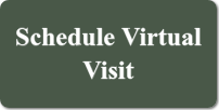 Schedule Virtual Visit