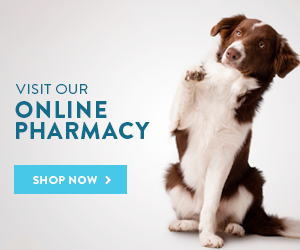 Shop Our Online Store