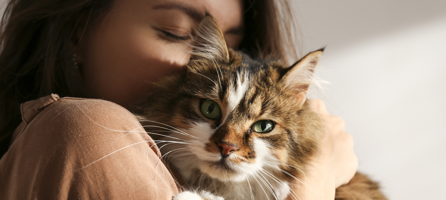 Lady Cuddling With Cat